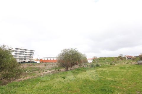 Helårsgrund i Aveiro, Aveiro, Aveiro - € 1.800.000 | Ref: 1010404/19GL - foto 2
