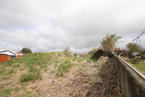 Helårsgrund i Aveiro, Aveiro, Aveiro - € 1.800.000 | Ref: 1010404/19GL - foto 4