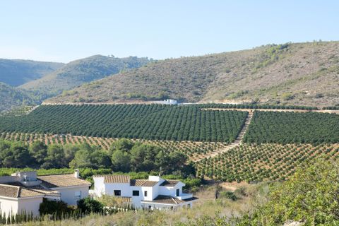 Grundstück in Alberic, Valencia - Foto 5