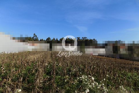 Helårsgrund i Vila do Conde, Porto, Vila do Conde - € 138.000 | Ref: 240-T-21846 - foto 2
