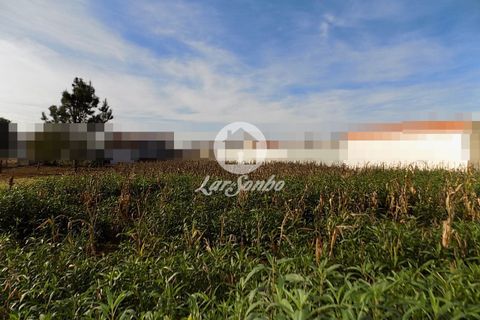 Helårsgrund i Vila do Conde, Porto, Vila do Conde - € 138.000 | Ref: 240-T-21846 - foto 4