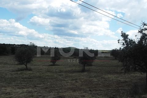 Terra a Redondo, Evora, Redondo - € 60.000 | Ref: 02290/T001 - foto 4