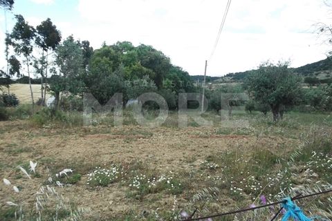 Terra a Redondo, Evora, Redondo - € 60.000 | Ref: 02290/T001 - foto 5