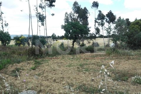 Terra a Redondo, Evora, Redondo - € 60.000 | Ref: 02290/T001 - foto 6