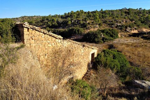 Finca i Maella, Zaragoza, Maella - € 19.000 | Ref: 0671 - foto 11