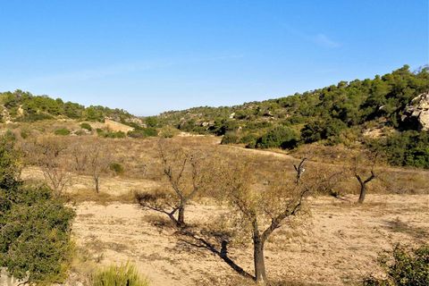 Finca i Maella, Zaragoza, Maella - € 19.000 | Ref: 0671 - foto 9