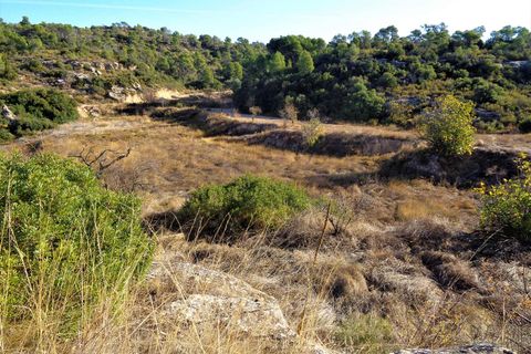 Finca i Maella, Zaragoza, Maella - € 19.000 | Ref: 0671 - foto 15