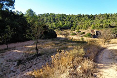 Finca i Maella, Zaragoza, Maella - € 19.000 | Ref: 0671 - foto 20