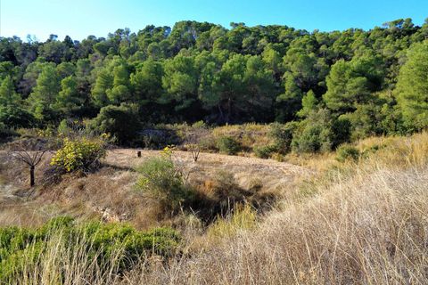Finca i Maella, Zaragoza, Maella - € 19.000 | Ref: 0671 - foto 18