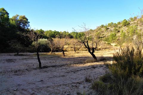 Finca i Maella, Zaragoza, Maella - € 19.000 | Ref: 0671 - foto 6
