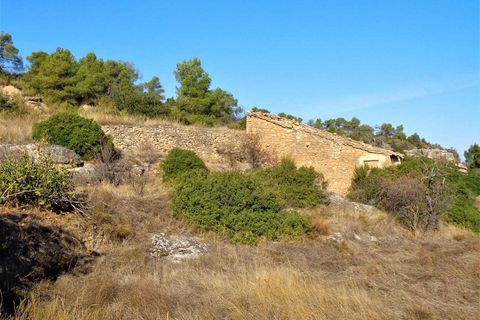 Finca i Maella, Zaragoza, Maella - € 19.000 | Ref: 0671 - foto 10