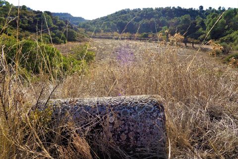 Finca i Maella, Zaragoza, Maella - € 19.000 | Ref: 0671 - foto 19