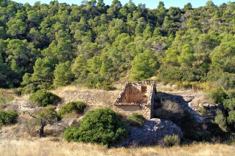 Finca i Maella, Zaragoza, Maella - € 19.000 | Ref: 0671 - foto 1