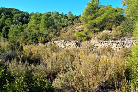 Finca i Maella, Zaragoza, Maella - € 19.000 | Ref: 0671 - foto 13
