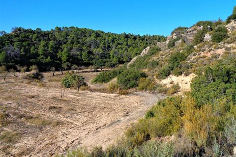 Finca i Maella, Zaragoza, Maella - € 19.000 | Ref: 0671 - foto 8