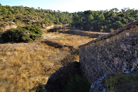 Finca i Maella, Zaragoza, Maella - € 19.000 | Ref: 0671 - foto 14