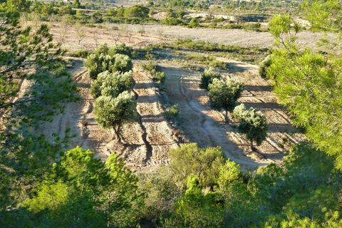 Finca i Fabara, Zaragoza, Fabara - € 15.000 | Ref: 0581 - foto 14