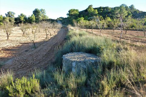 Finca i Fabara, Zaragoza, Fabara - € 15.000 | Ref: 0581 - foto 11