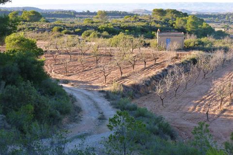 Finca i Fabara, Zaragoza, Fabara - € 15.000 | Ref: 0581 - foto 1