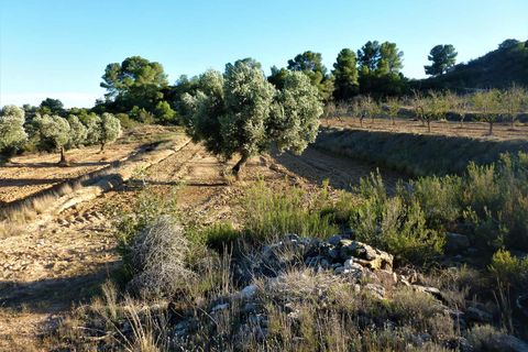 Finca i Fabara, Zaragoza, Fabara - € 15.000 | Ref: 0581 - foto 10