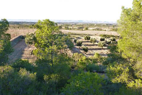 Finca i Fabara, Zaragoza, Fabara - € 15.000 | Ref: 0581 - foto 15