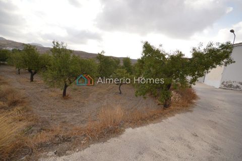 Landejendom i Albox, Almeria, Albox - € 50.000 | Ref: AH-11224 - foto 13