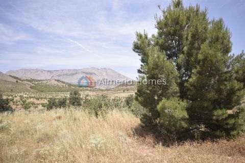 Landejendom i Velez-Rubio, Almeria, Velez-Rubio - € 175.000 | Ref: AH-3499 - foto 2
