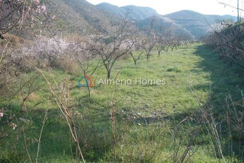 Landejendom i Lubrin, Almeria, Lubrin - € 27.000 | Ref: AH-2023 - foto 11
