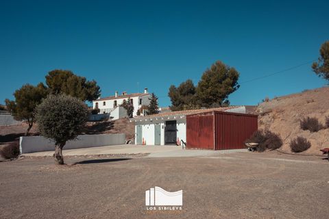 Cortijo i Lorca, Murcia, Lorca - € 625.000 | Ref: 2126-CH - foto 49