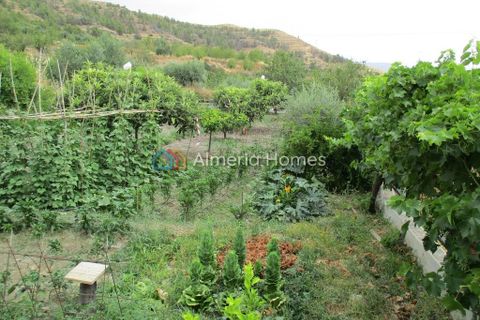 Landejendom i Sufli, Almeria, Sufli - € 69.000 | Ref: AH-10689 - foto 4