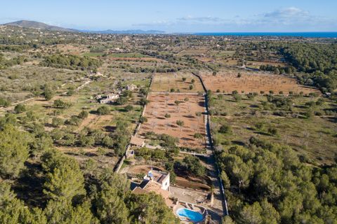 Finca i Cala Murada, Mallorca, Cala Murada - € 1 600 000 | Ref: 70418 - foto 21