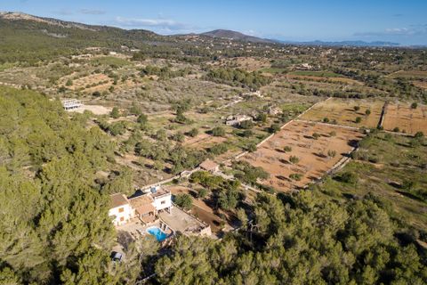 Finca i Cala Murada, Mallorca, Cala Murada - € 1 600 000 | Ref: 70418 - foto 22