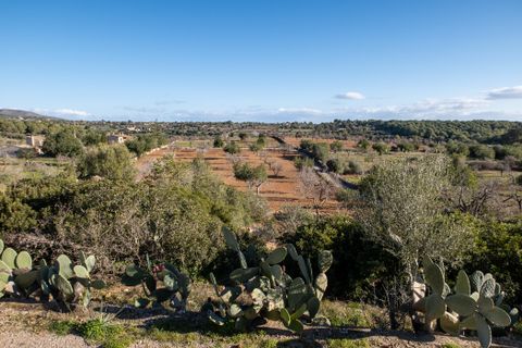 Finca i Cala Murada, Mallorca, Cala Murada - € 1 600 000 | Ref: 70418 - foto 29