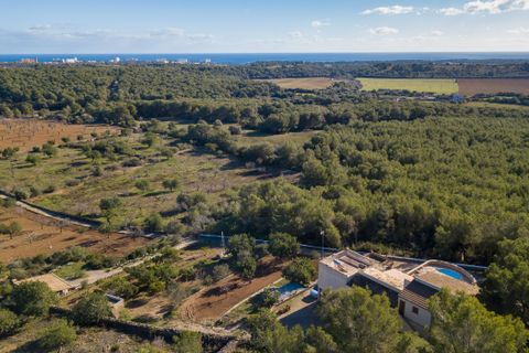 Finca i Cala Murada, Mallorca, Cala Murada - € 1 600 000 | Ref: 70418 - foto 30
