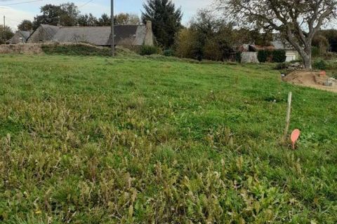 Terra a Parigne, Ille-et-Vilaine, Parigne - € 31.500 | Ref: 037_1462 - foto 2