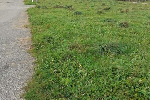 Terra a Parigne, Ille-et-Vilaine, Parigne - € 31.500 | Ref: 037_1462 - foto 4