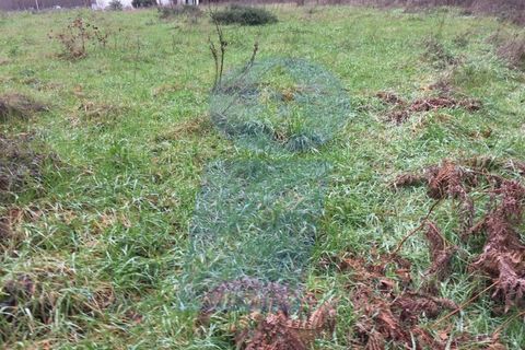 Terra a Oia, Aveiro, Oia - € 35.000 | Ref: SÒL_499 - foto 4