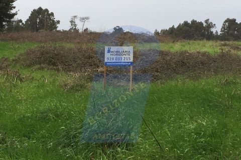 Terra a Oia, Aveiro, Oia - € 35.000 | Ref: SÒL_499 - foto 2