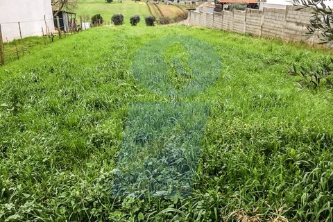 Terra a Fermentelos, Aveiro, Fermentelos - € 40.000 | Ref: TER_506 - foto 2