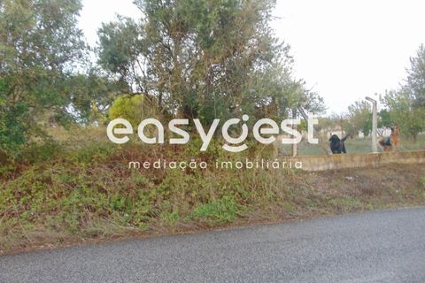 Terra a Pontevel, Santarem, Pontevel - € 85.000 | Ref: ST80322EP - foto 3