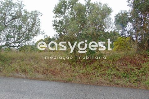 Terra a Pontevel, Santarem, Pontevel - € 85.000 | Ref: ST80322EP - foto 4