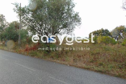 Terra a Pontevel, Santarem, Pontevel - € 85.000 | Ref: ST80322EP - foto 5