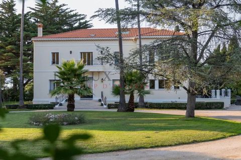 Landejendom i Antibes, Alpes-Maritimes, Antibes - € 26.750.000 | Ref: 3465828 - foto 16