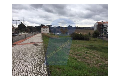 Helårsgrund i Oliveira do Bairro, Aveiro, Oliveira do Bairro - € 81.000 | Ref: SÒL_519 - foto 1
