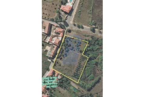 Erhvervsejendom i Anadia, Aveiro, Anadia - € 195.000 | Ref: FIN_529 - foto 1