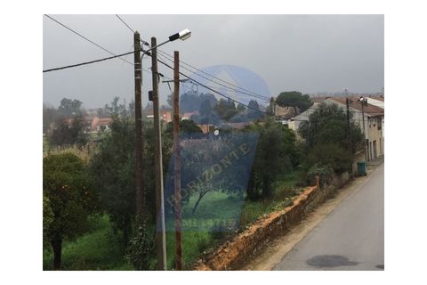 Erhvervsejendom i Anadia, Aveiro, Anadia - € 195.000 | Ref: FIN_529 - foto 8