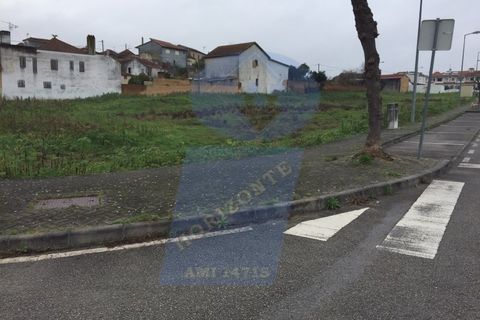 Erhvervsejendom i Anadia, Aveiro, Anadia - € 809.000 | Ref: SÒL_521 - foto 5