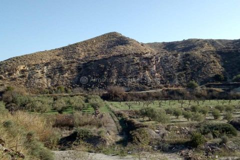 Farm hus i Arboleas, Almeria, Arboleas - € 45.000 | Ref: APS 1751 - foto 3