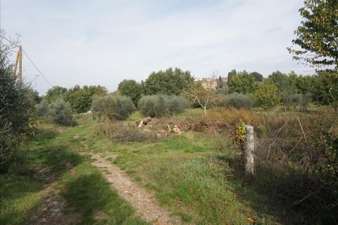 Masia a Sinalunga, Siena, Sinalunga - € 140.000 | Ref: CS137 - foto 5