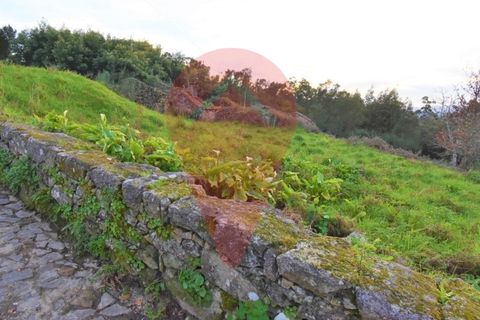 Ruinere i Gandra e Taiao, Viana do Castelo, Gandra e Taiao - € 165.000 | Ref: RUÏ_37 - foto 3